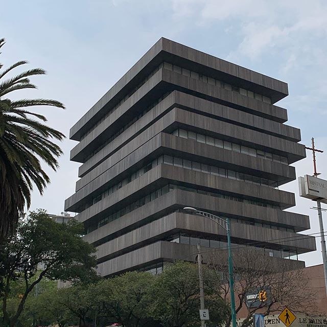 Palmas 555