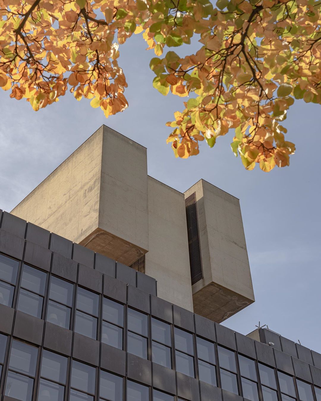 UCL Institute of Education